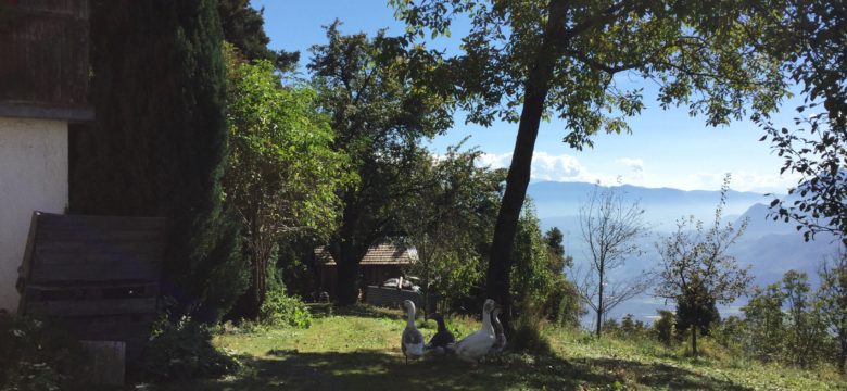 Bauernhof in Panoramalage bei Mölten zu verkaufen - Wohnart Immobilien